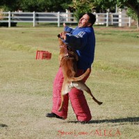 Police Decoy Training