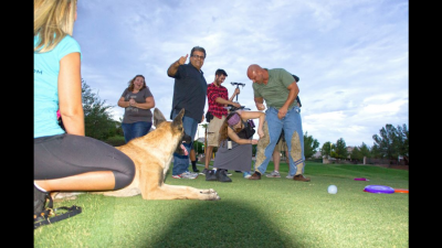 Filming a movie protection dog