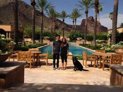 Elite Family Protection Dog