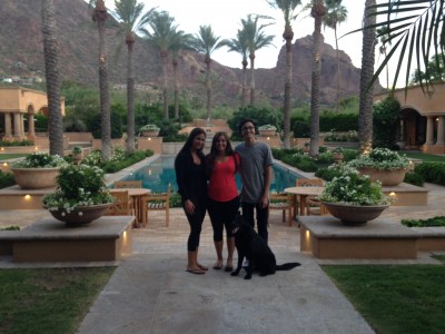 Elite Family Protection Dog
