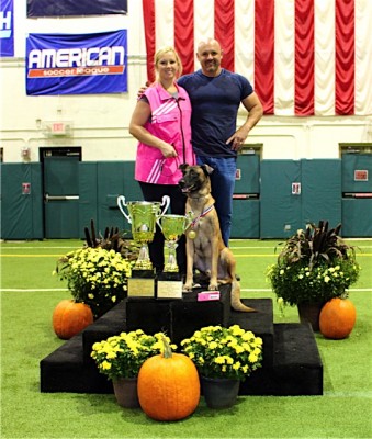 2015 Ring 3 Grand Champion