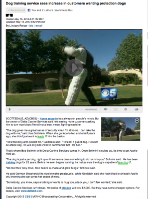 Channel 5 AZ news segment protection dogs