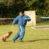 police canine training, decoy school, police dogs, police k9, drug dogs, drug detection, bomb dogs, explosive detection