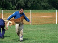 police canine training, decoy school, police dogs, police k9, drug dogs, drug detection, bomb dogs, explosive detection