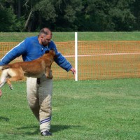 police canine training, decoy school, police dogs, police k9, drug dogs, drug detection, bomb dogs, explosive detection
