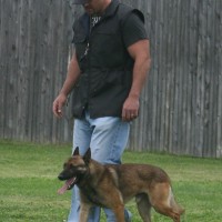police canine training, decoy school, police dogs, police k9, drug dogs, drug detection, bomb dogs, explosive detection, hare drug training