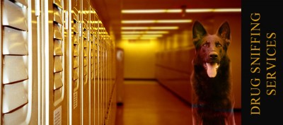 Drug detection, narcotic detection, private detection dogs