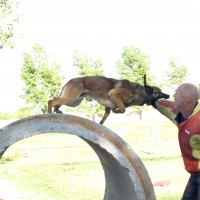 Police K9 Training Arizona