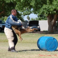 Police Canine Training