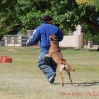 Police K9 seminar