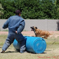 Police Decoy School