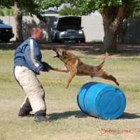 Police K9 decoy school training