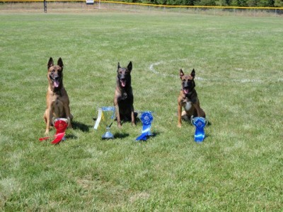 2011 French RingSport Champion, Vice Champion and Ring 2 Champion