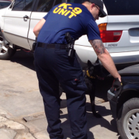 Dual Purpose Police K9